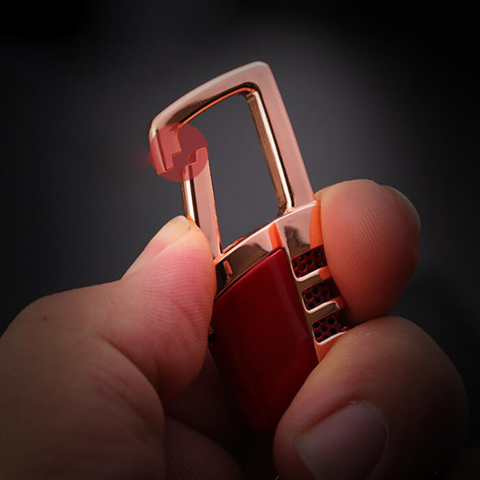 Luxury Heavy Duty Car Key Chain Holder