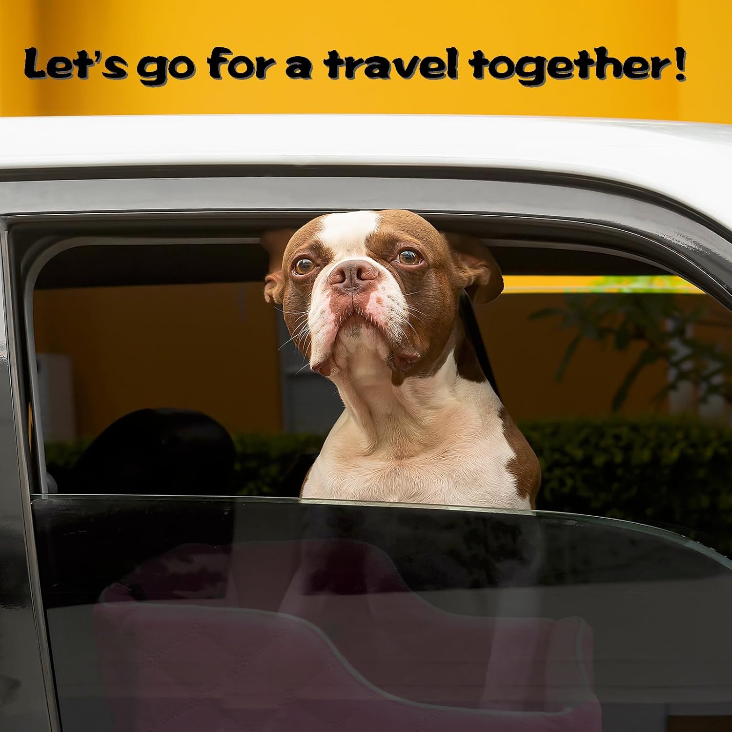 Rose Red Dog Pet Car Seat For Medium Dogs Under 35lbs Fit Cadillace Escalade