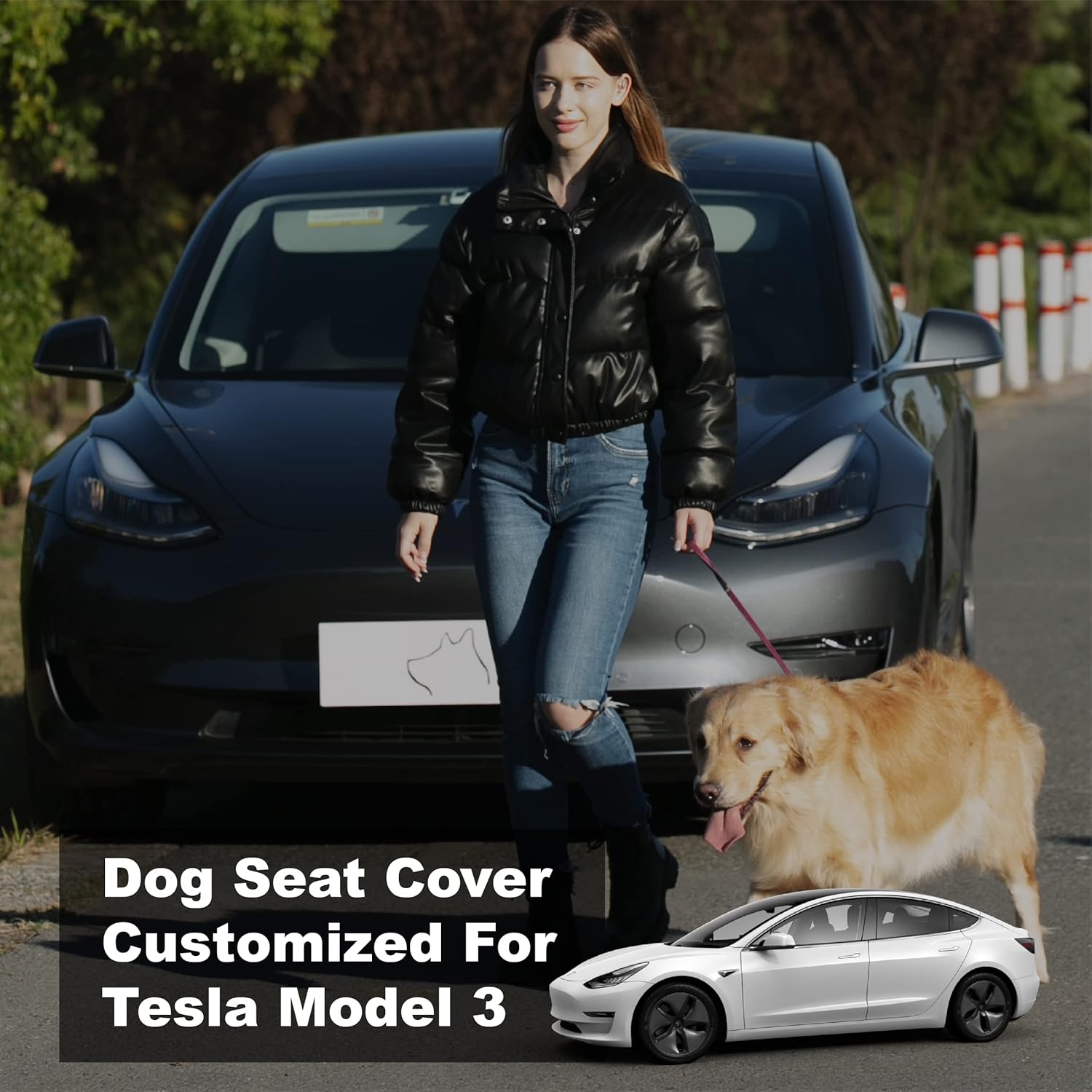 Dog Seat Covers for Back Seat with Mesh Window & Headrest Protection For Tesla Model 3
